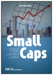 Small Caps - Uma análise das oportunidades e riscos das Small Caps