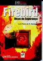 Firebird : Dicas de Segurança